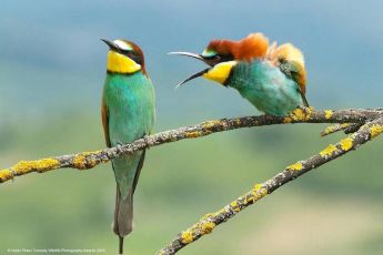 La famille en confinement - et si la crise était une opportunité&nbsp;? - Wepsee