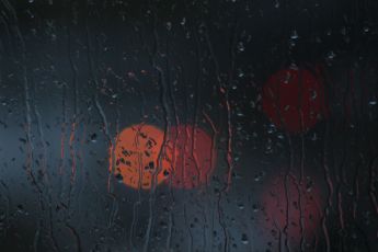 La confusion mentale : Il est confus, incohérent, désorienté. - Wepsee